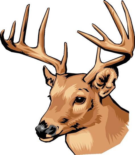 buck deer images|buck deer clip art.